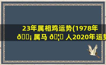 23年属相鸡运势(1978年 🐡 属马 🦉 人2020年运势)